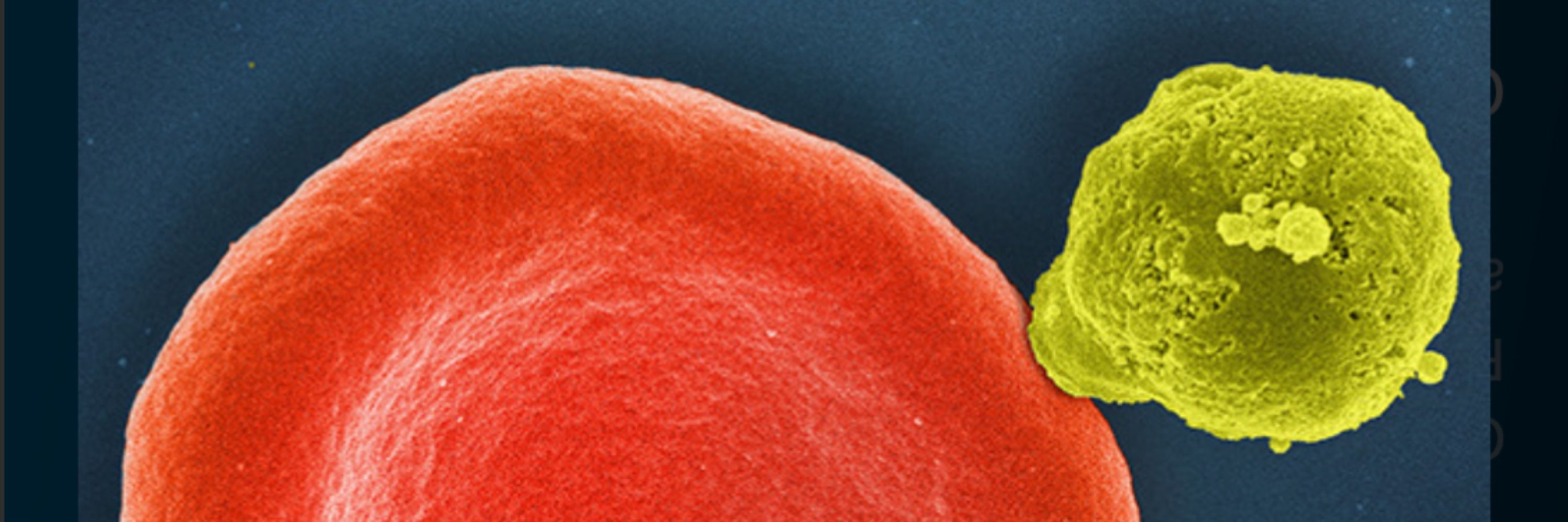 Cell - a Cell Press journal