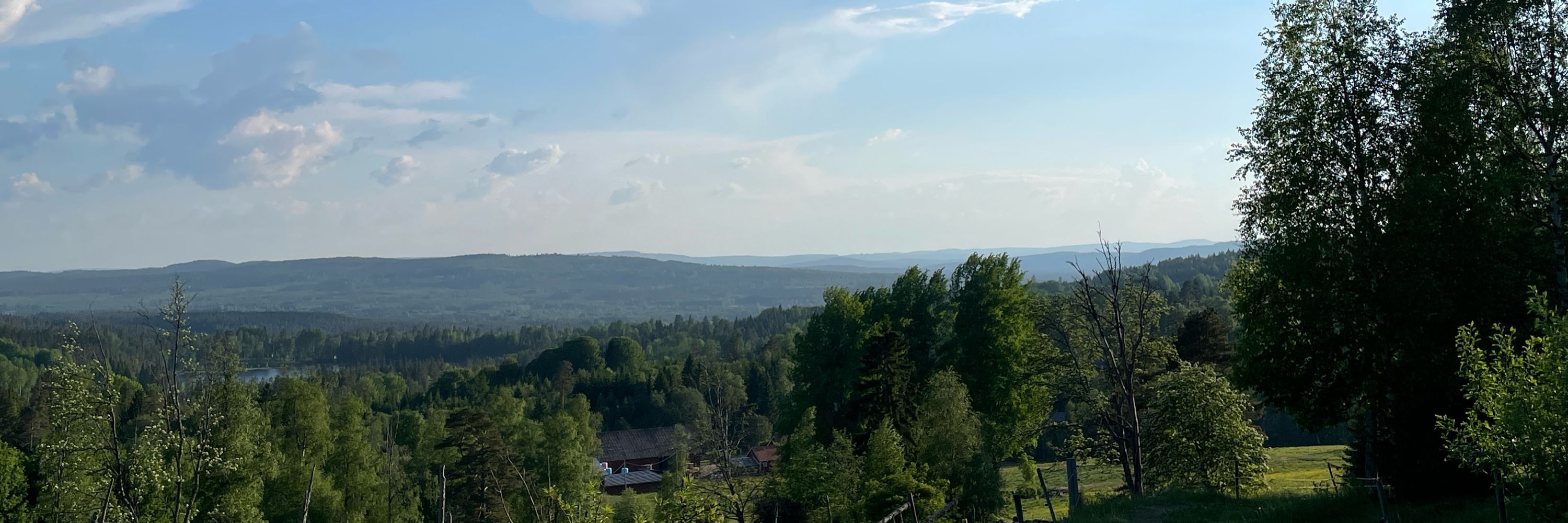 Åsa Firth