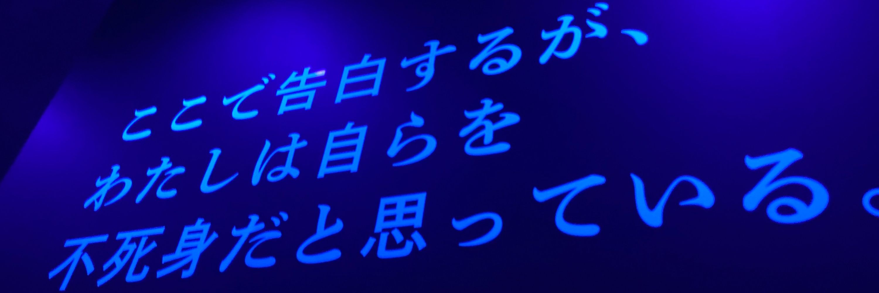 𝕂𝔸𝔾𝕌