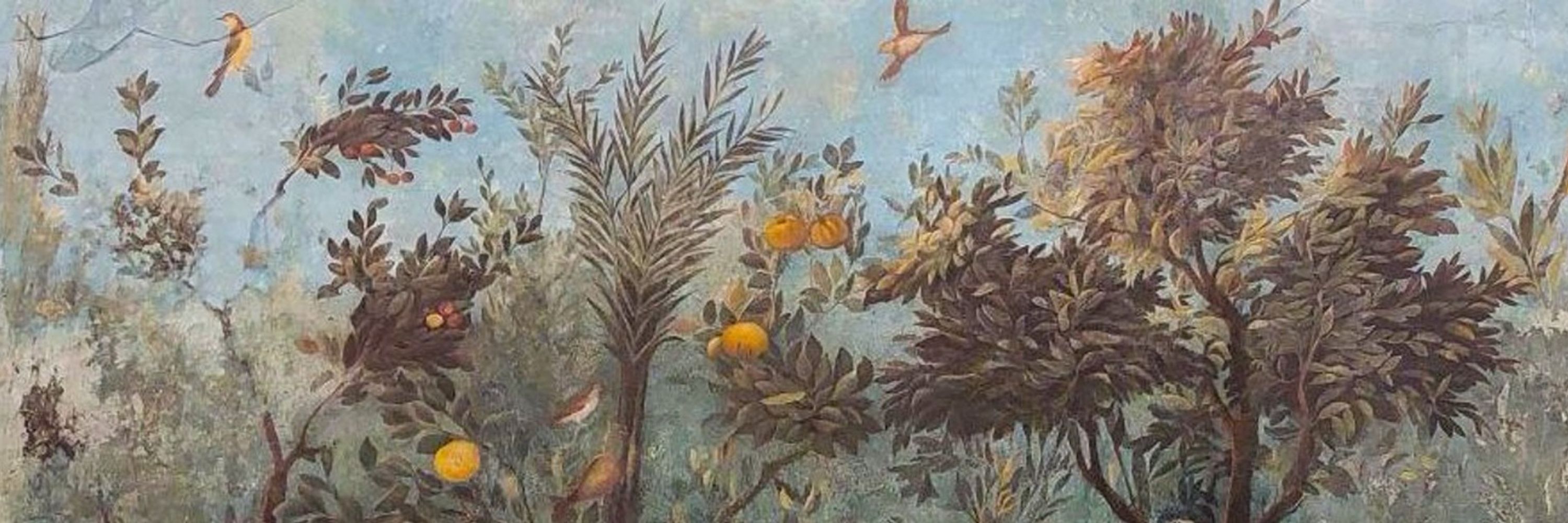 Francesca Tacchi 🍋🍉