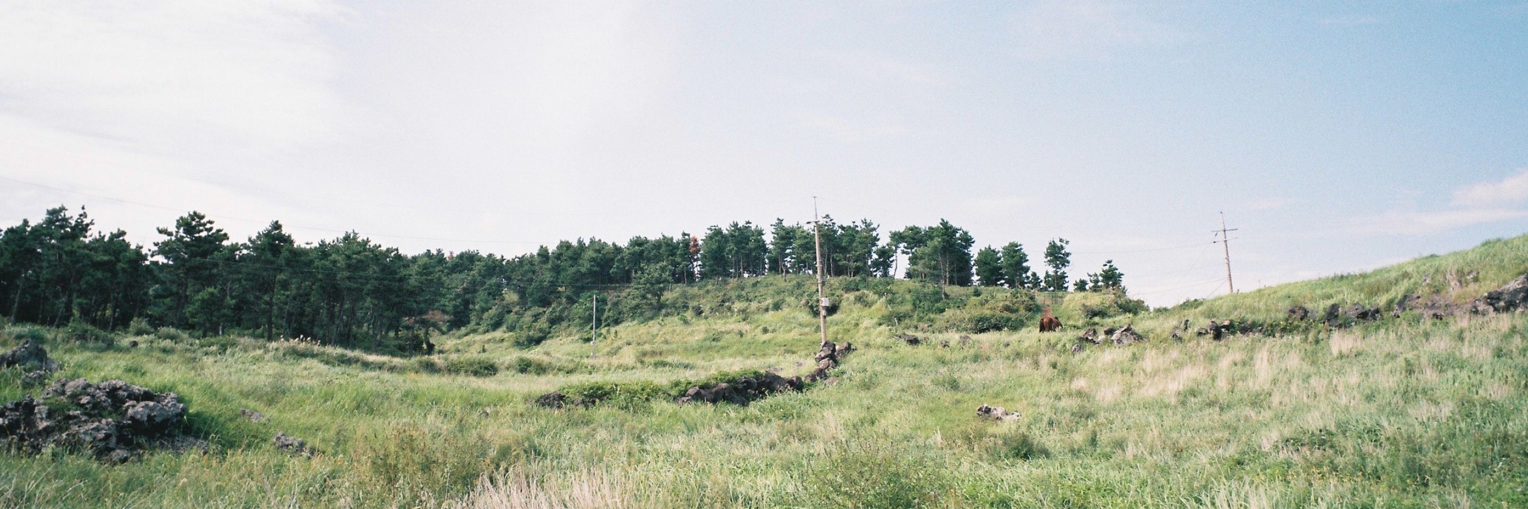 오리너굴