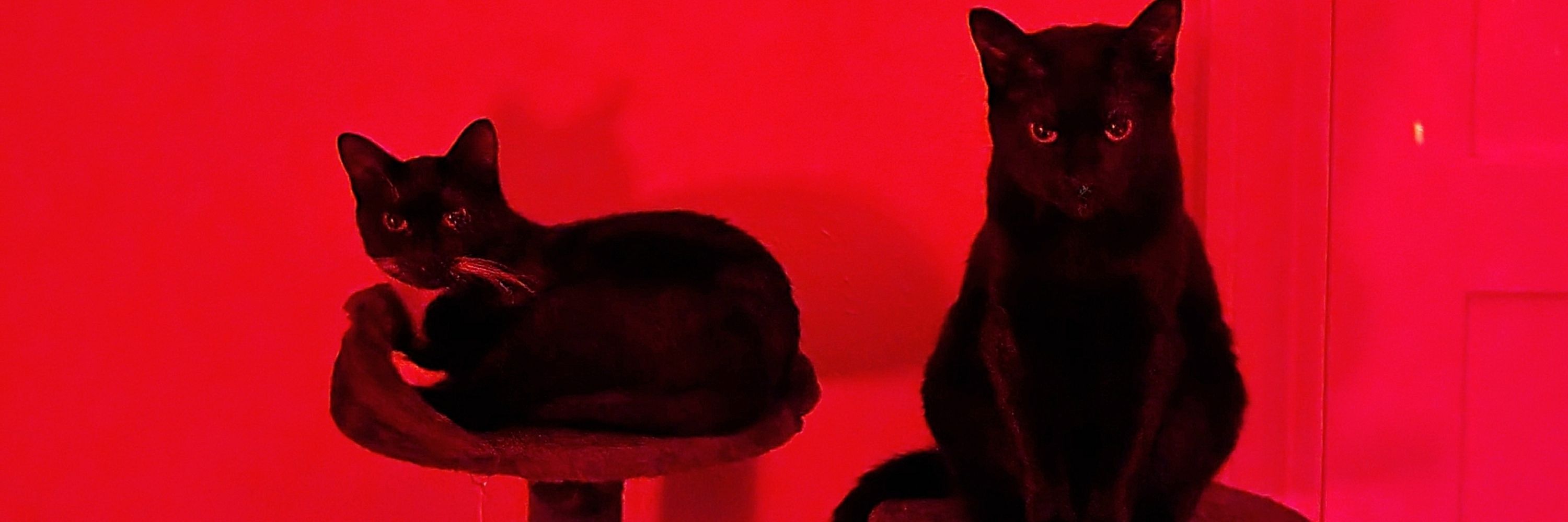 RavenOfTheVoid