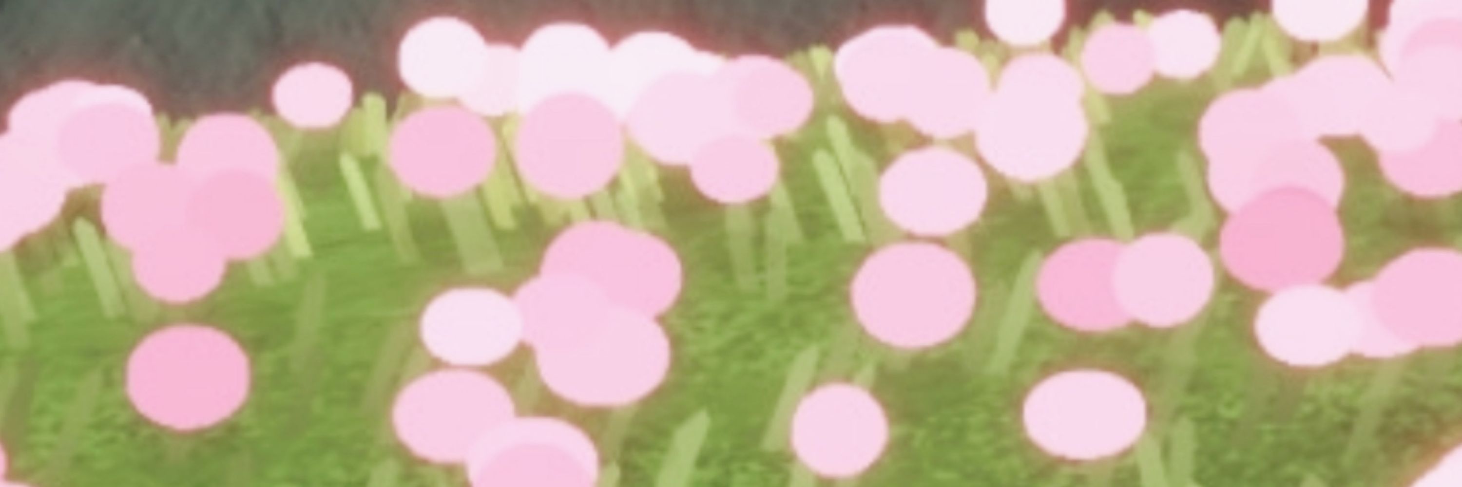 もも𖦹⋆꙳‎