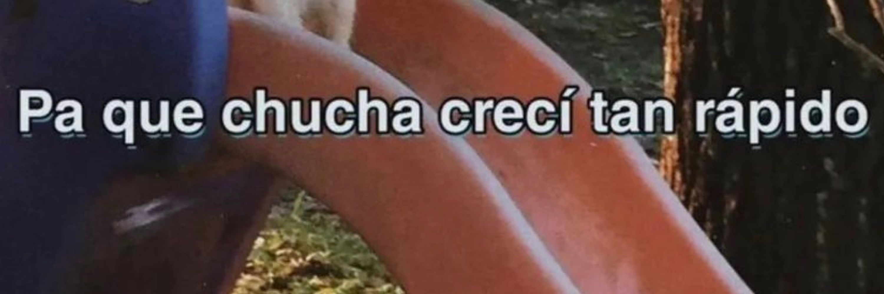 anacarolina