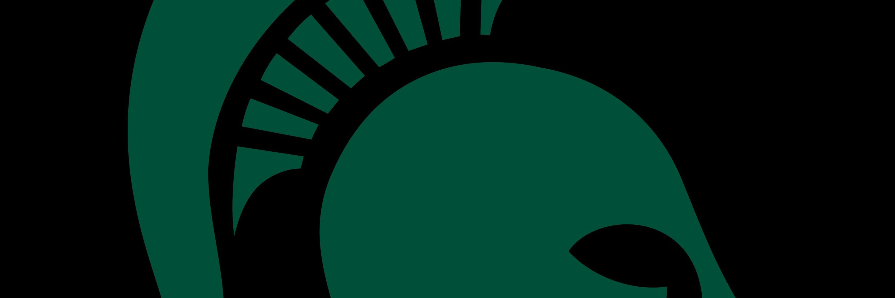 MSU ComArtSci
