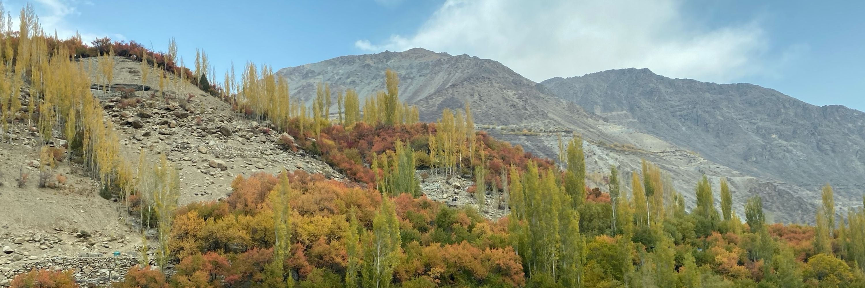 Omar Abdullah