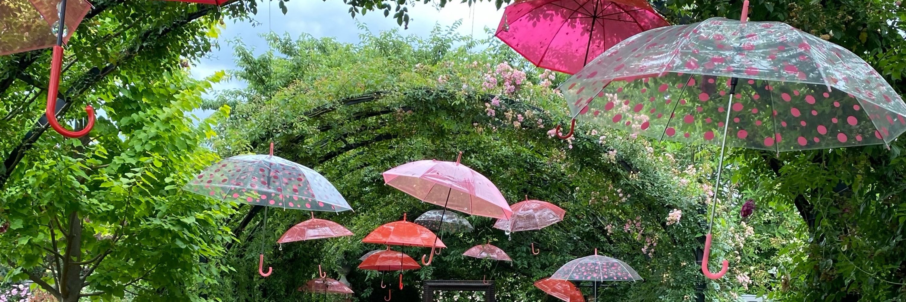 白沼