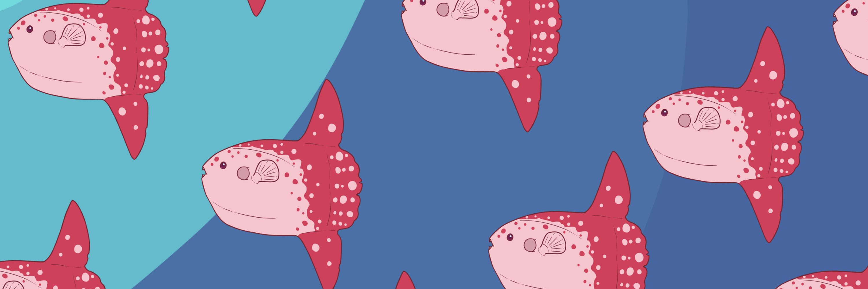 Sunfish