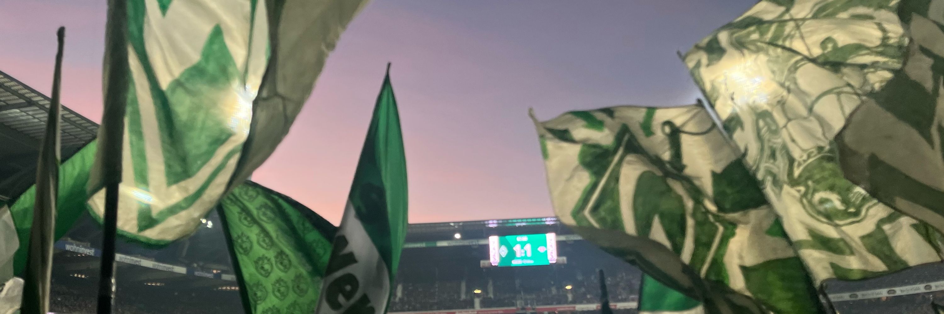 💚Xenia🤍