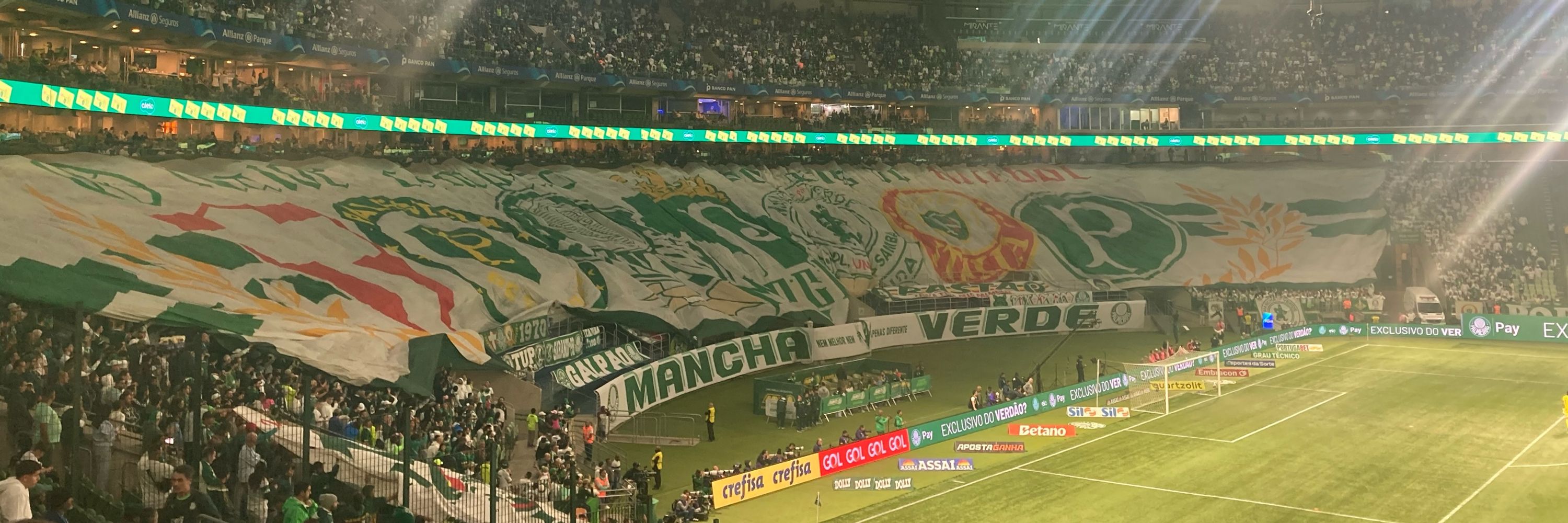 zeca