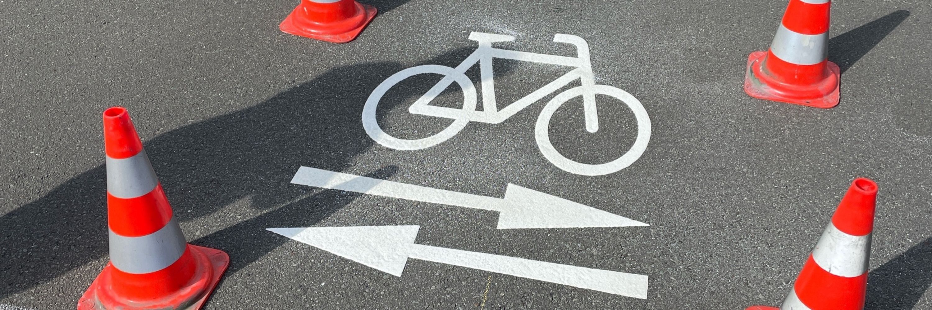 Verkehrskontrolle Oldenburg
