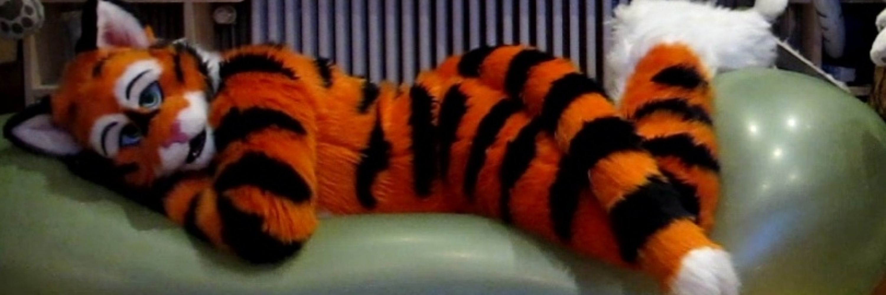 Sumatratiger