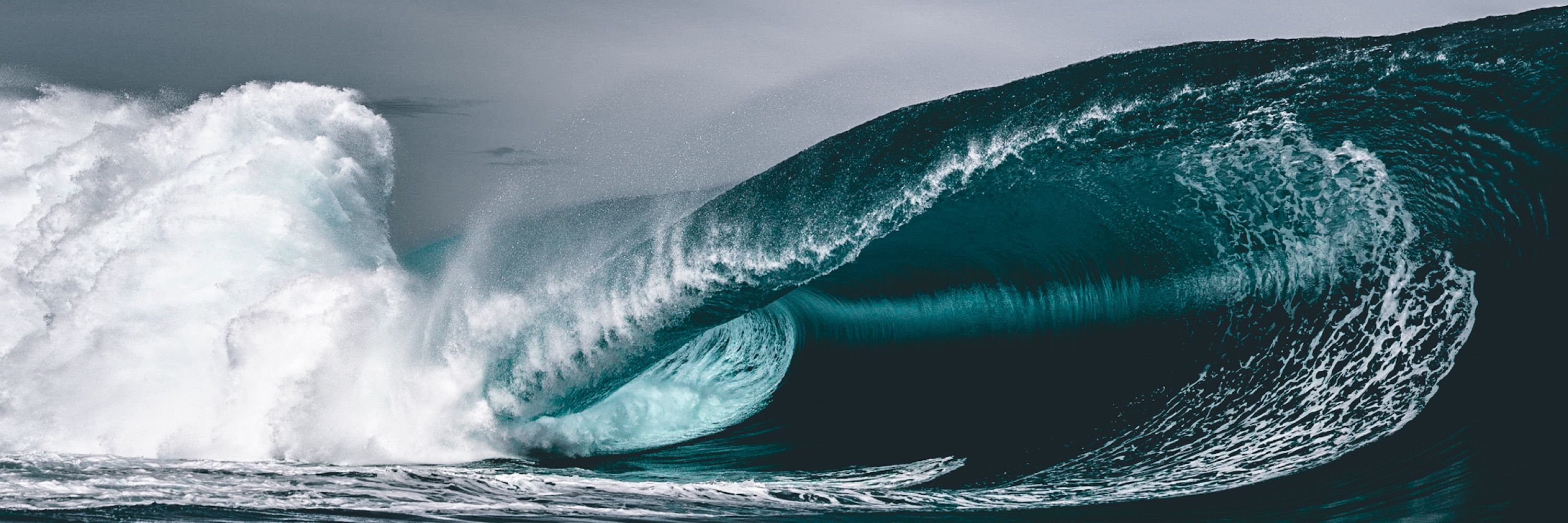 Jerome Brouillet Photography