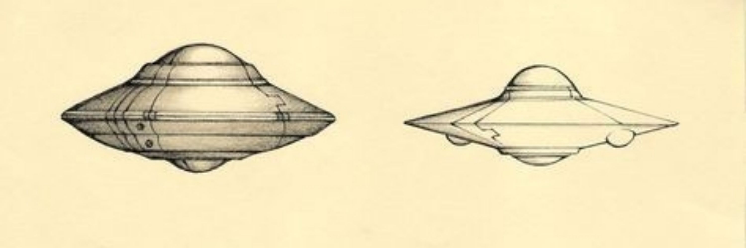 Macwood fleet