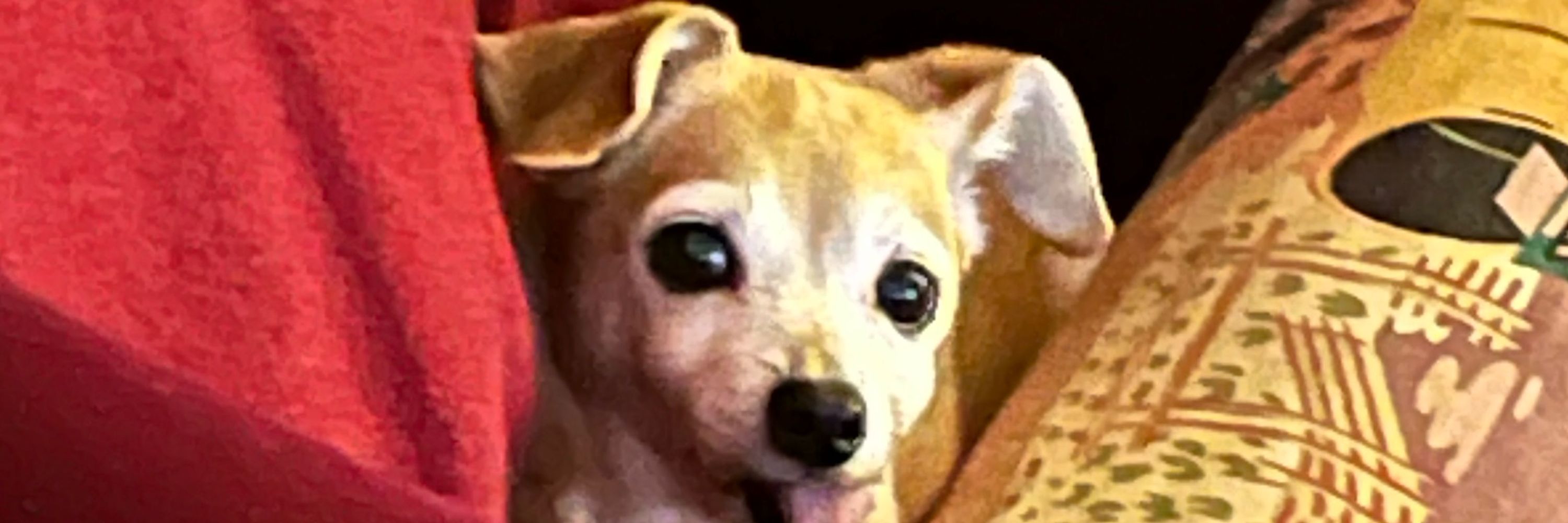 Bubby Lewis