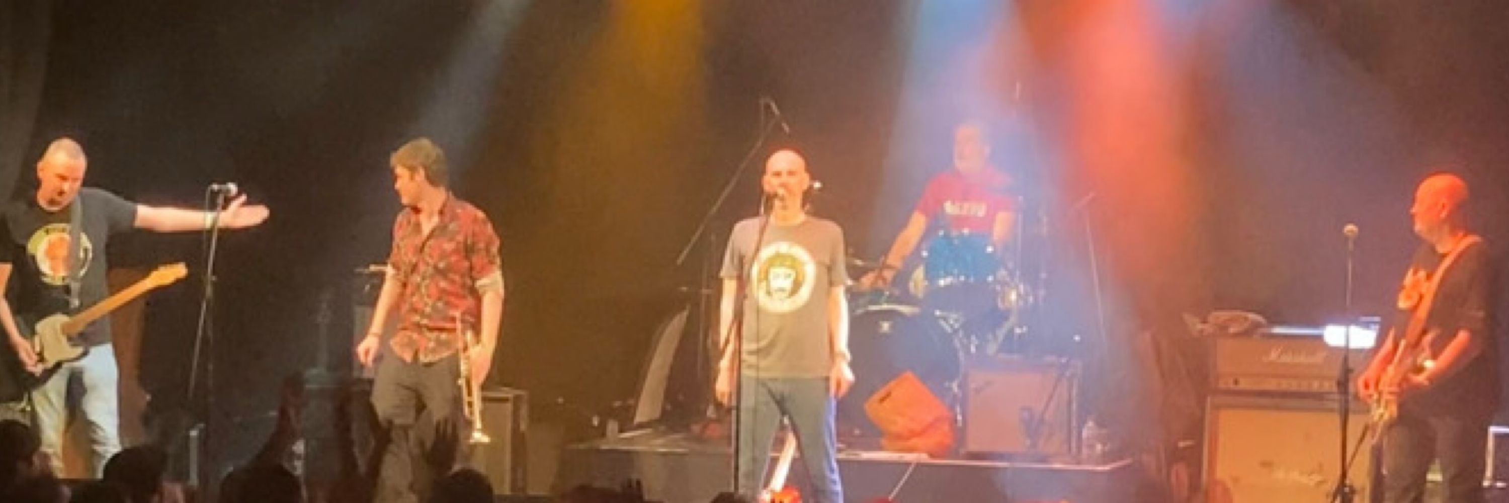 Half Man Half Biscuit Lyrics