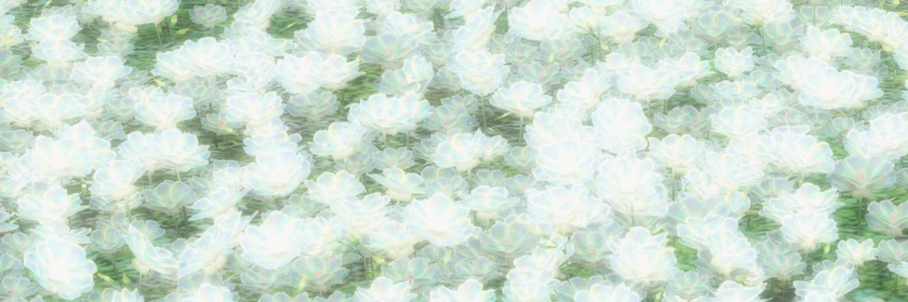 𓅓𓍯𓎼𓇋𓂋𓇋 