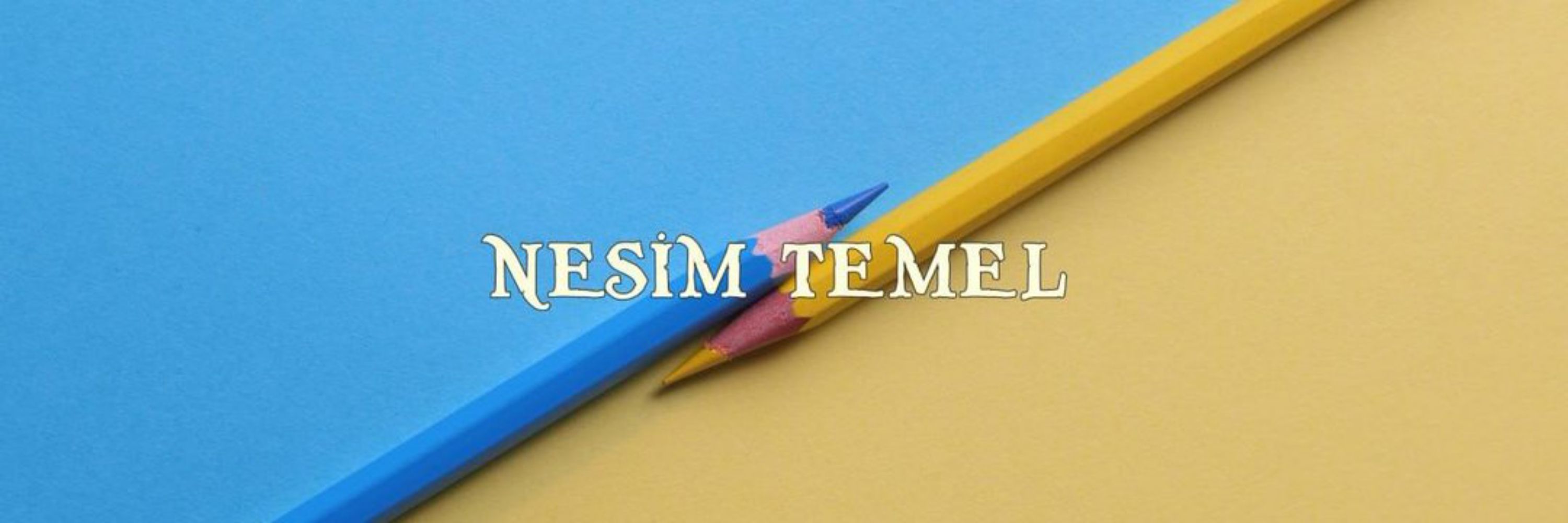 Nesim Temel
