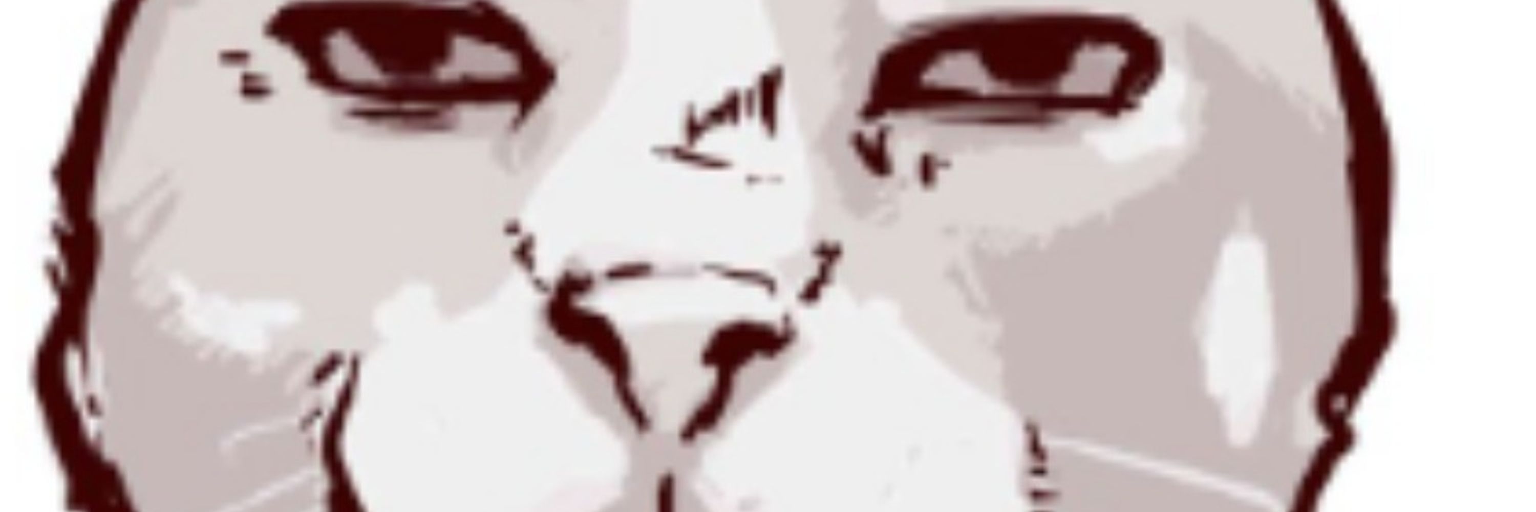 Sinon