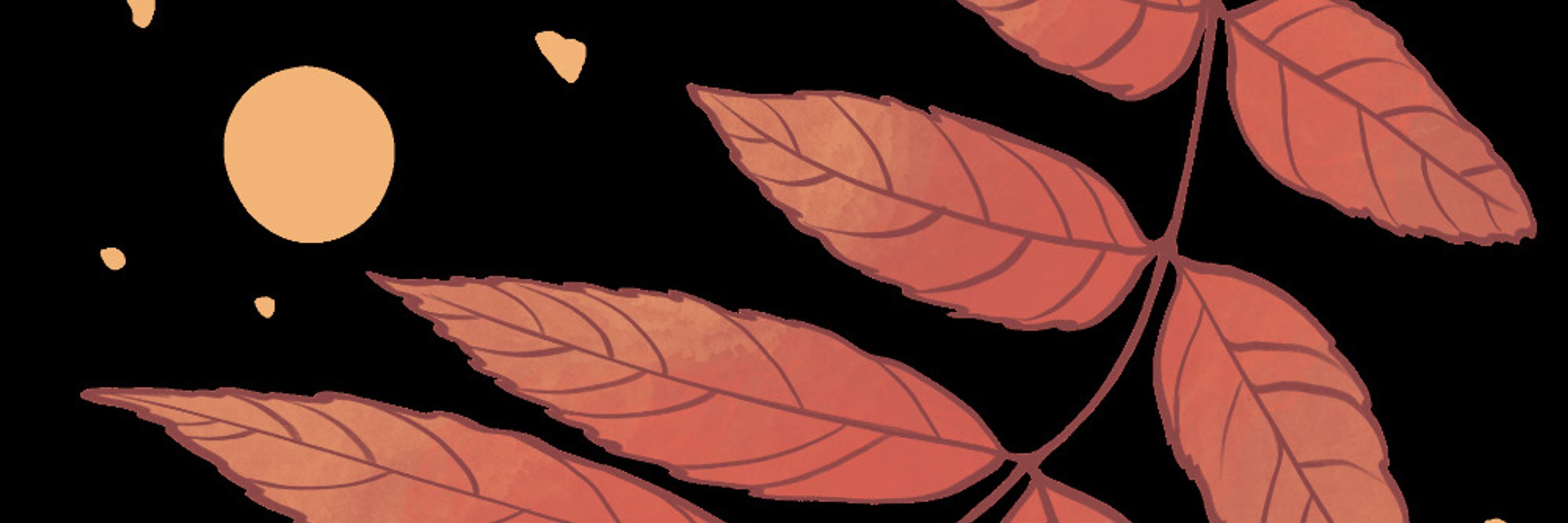 Sprig