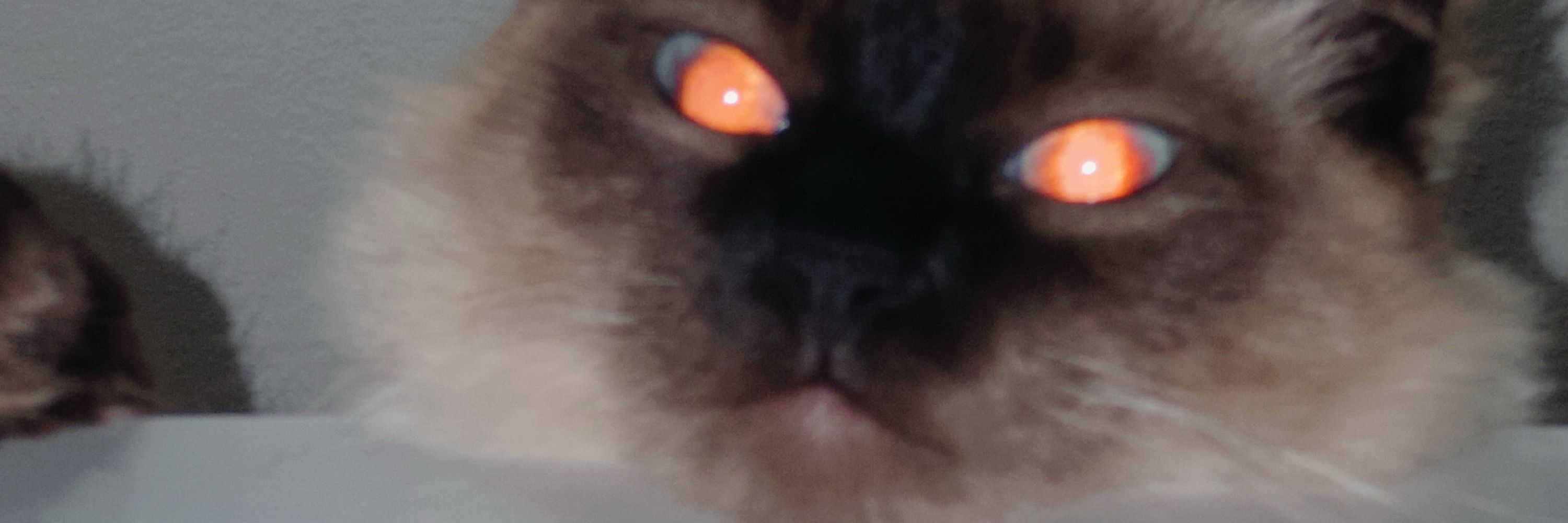wex