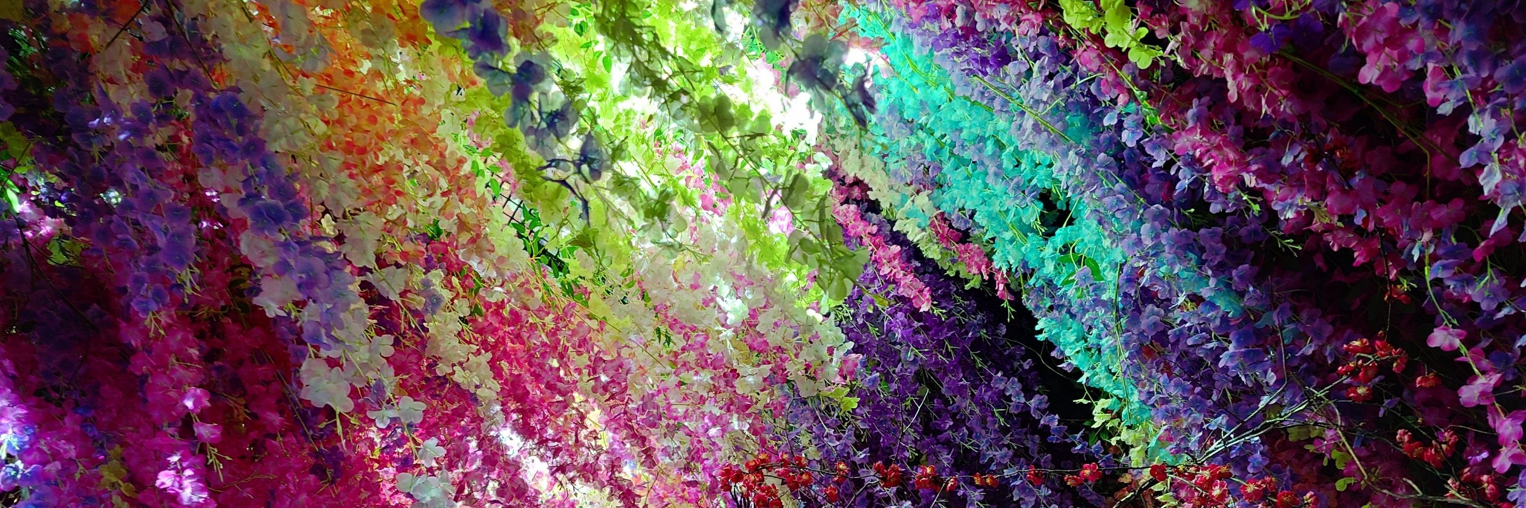 のつき