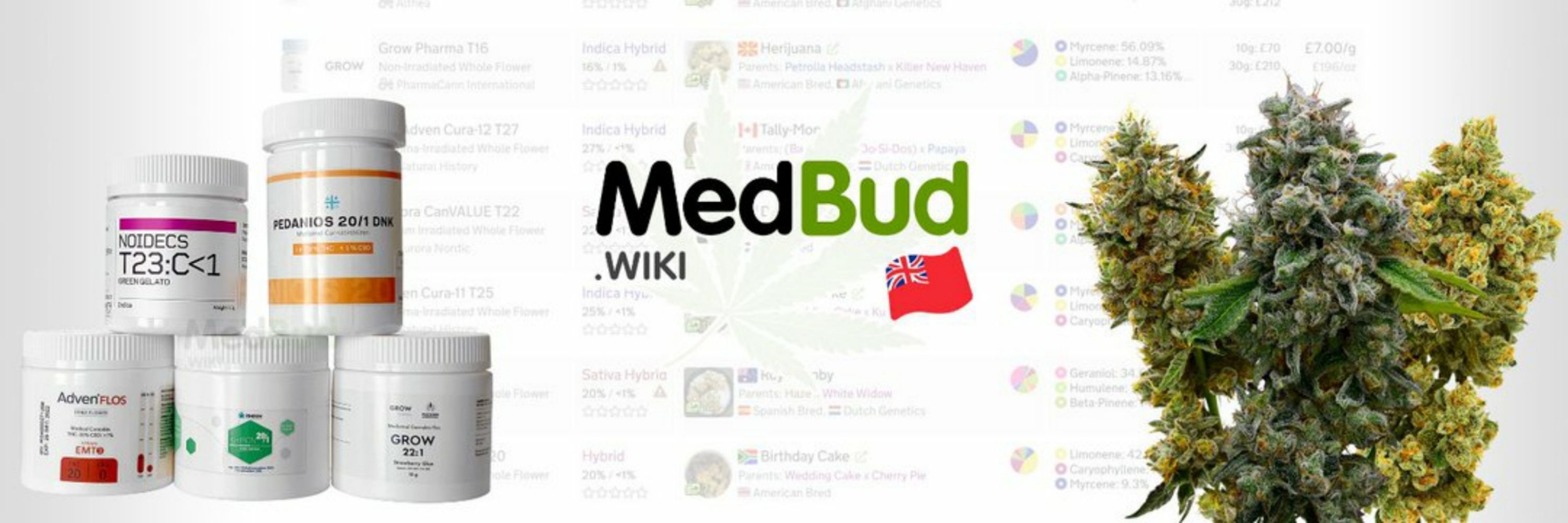 Medbud (Twitter Bot)