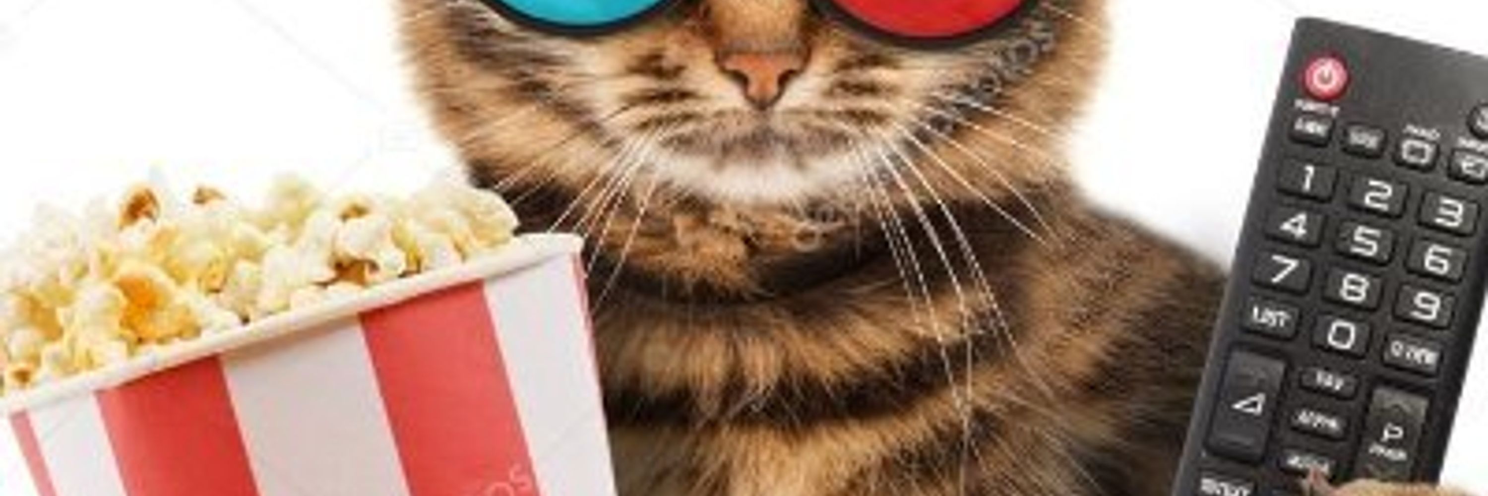 Le Chat Pitre