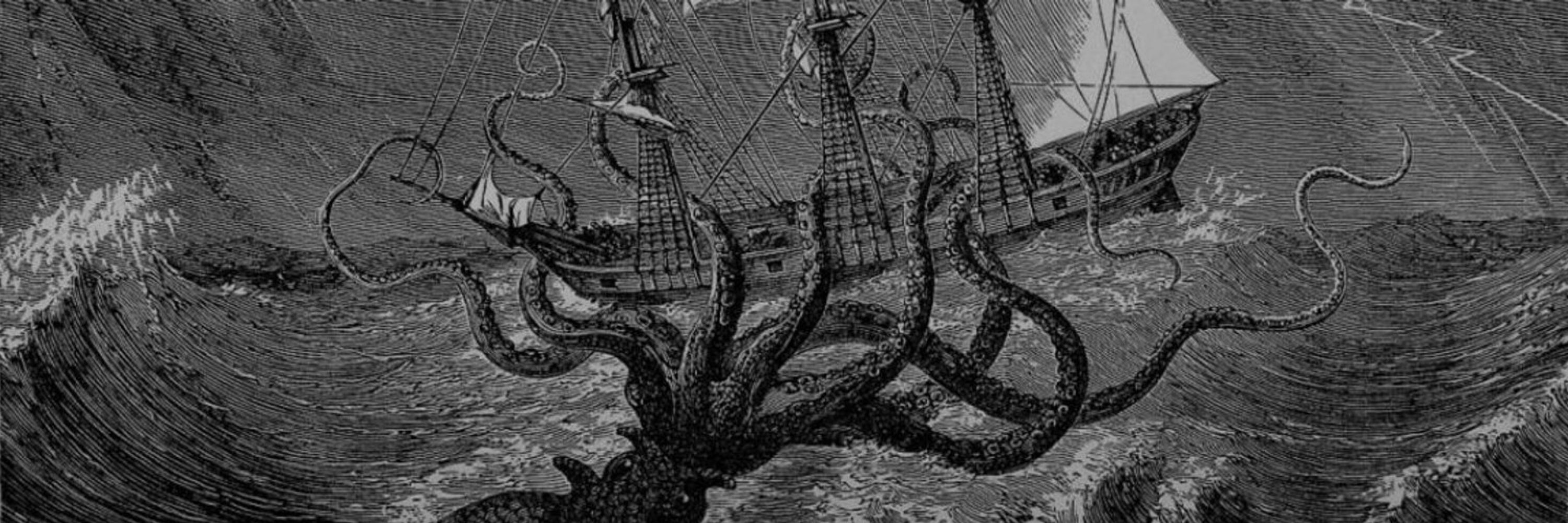 ☠️FreeTheKraken☠️