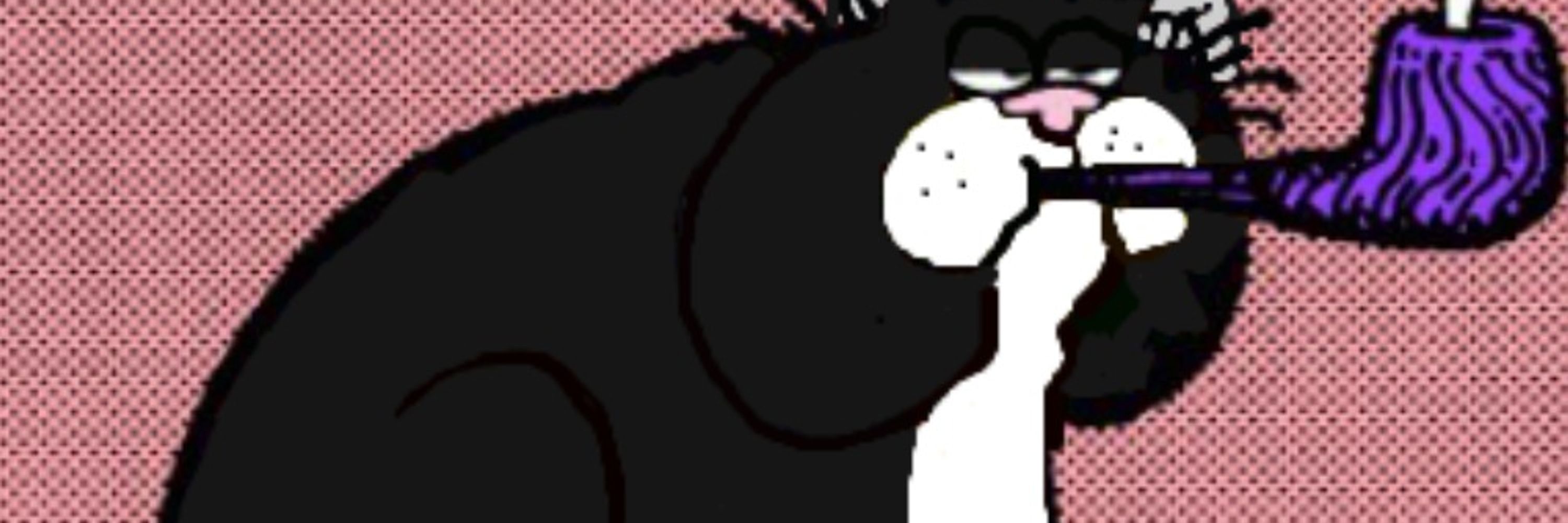 Soykon