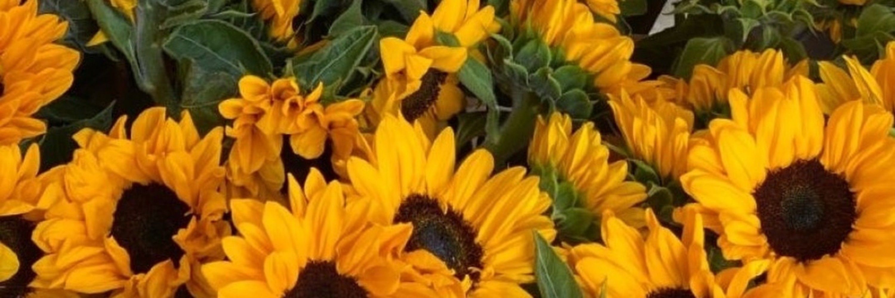 bu