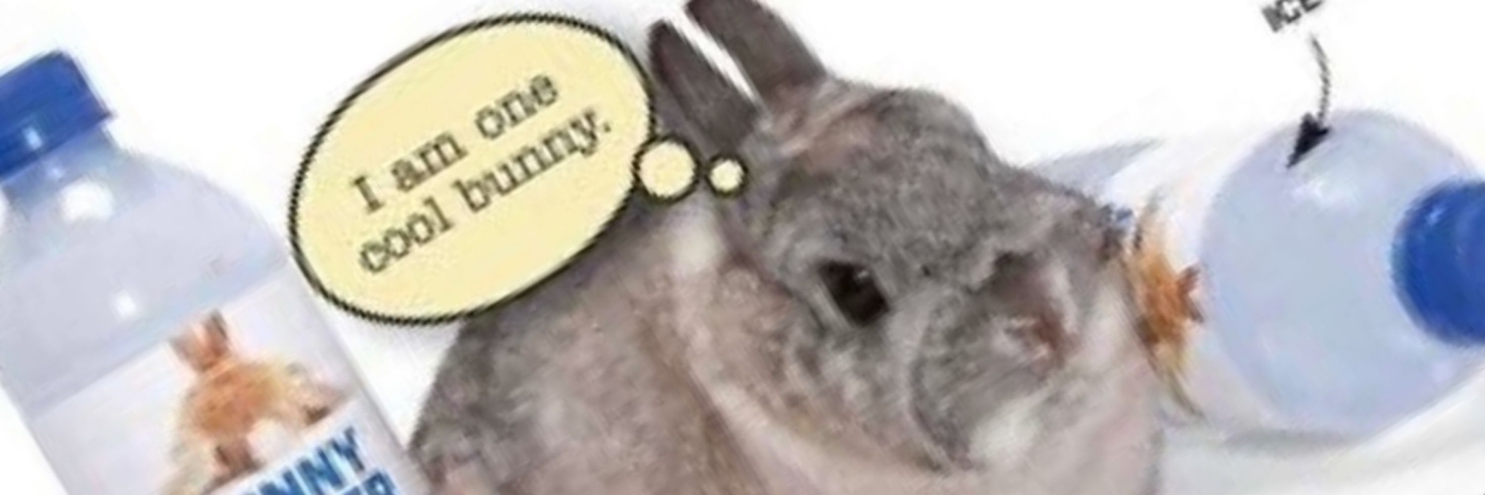 eb