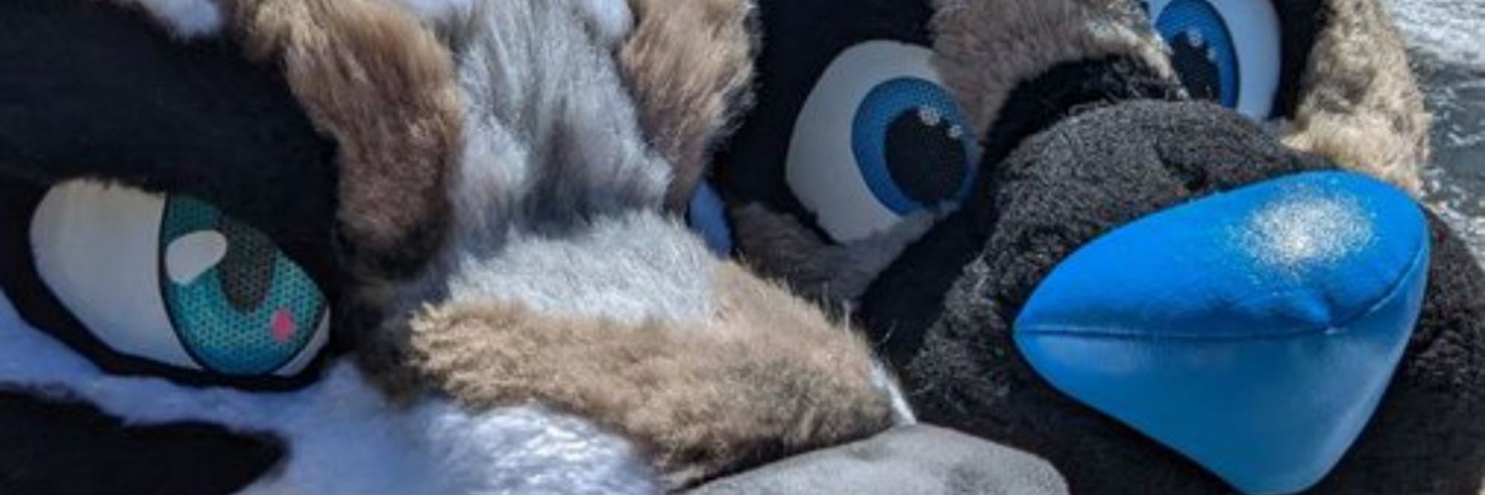 Torq Shep