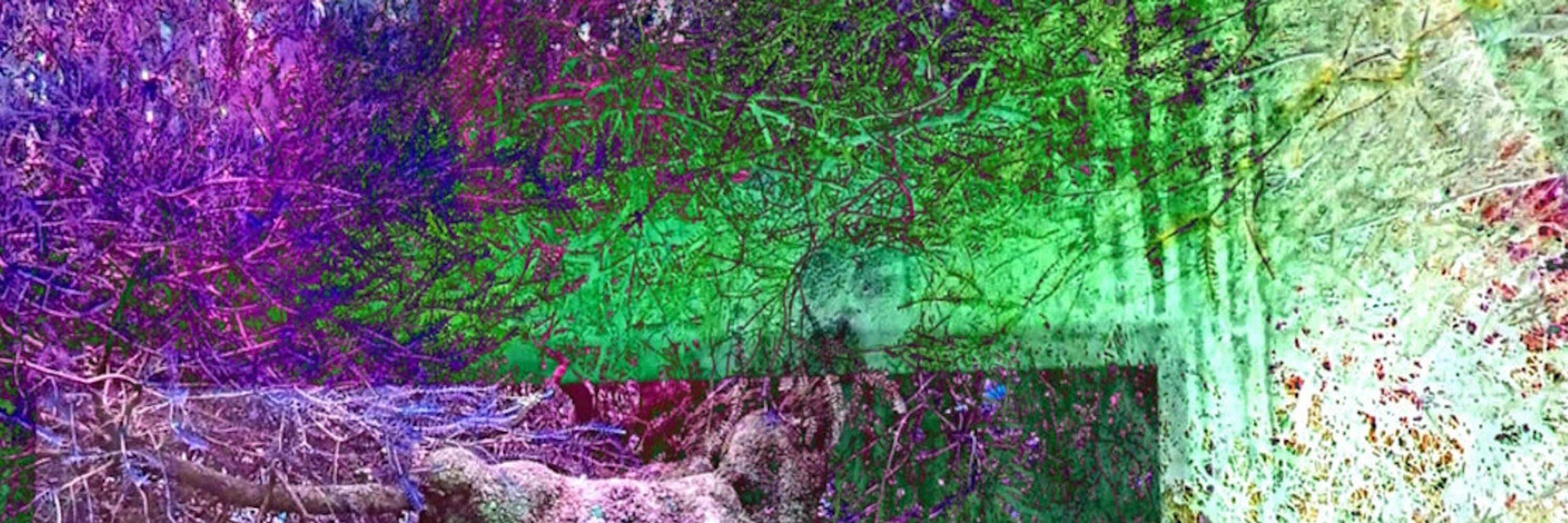 Ourobonic Plague