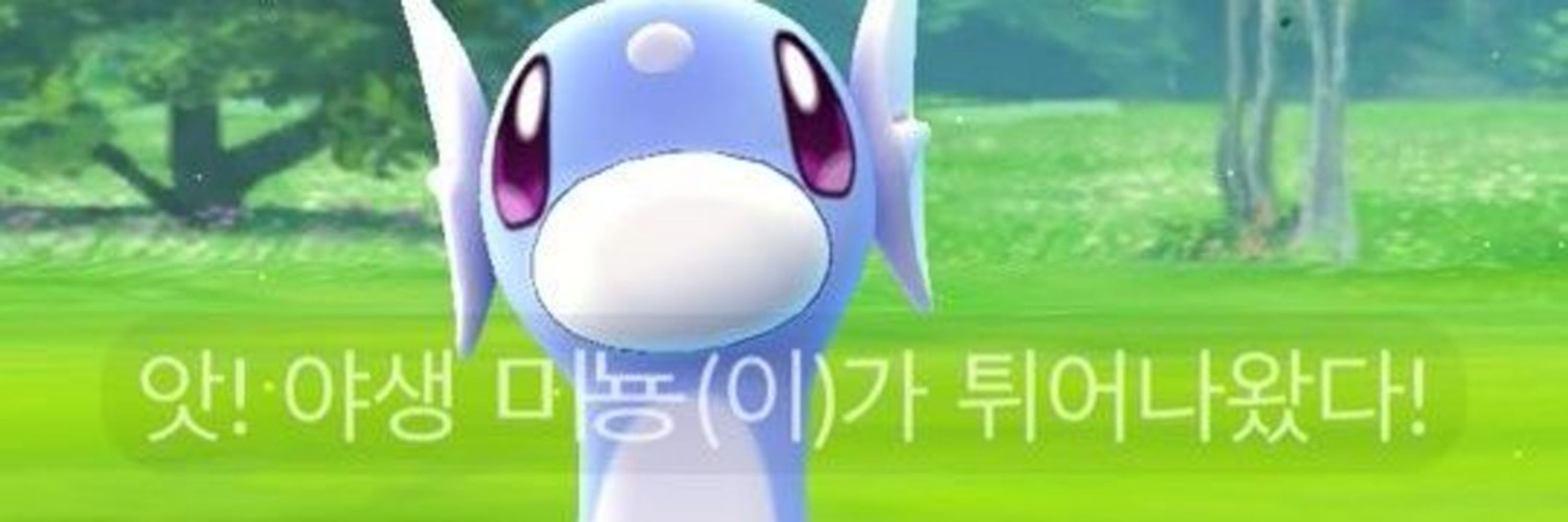 야생 미뇽(이)가 나타났다!!