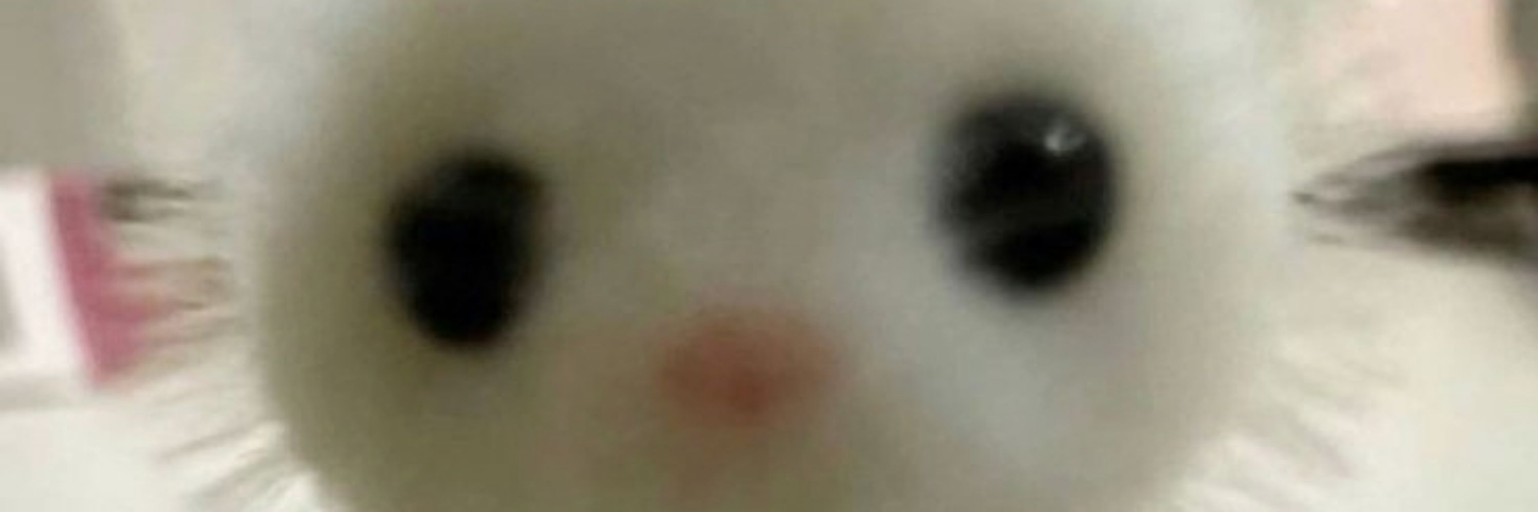 𝔥𝔬𝔰𝔥𝔦𝔦 ♡