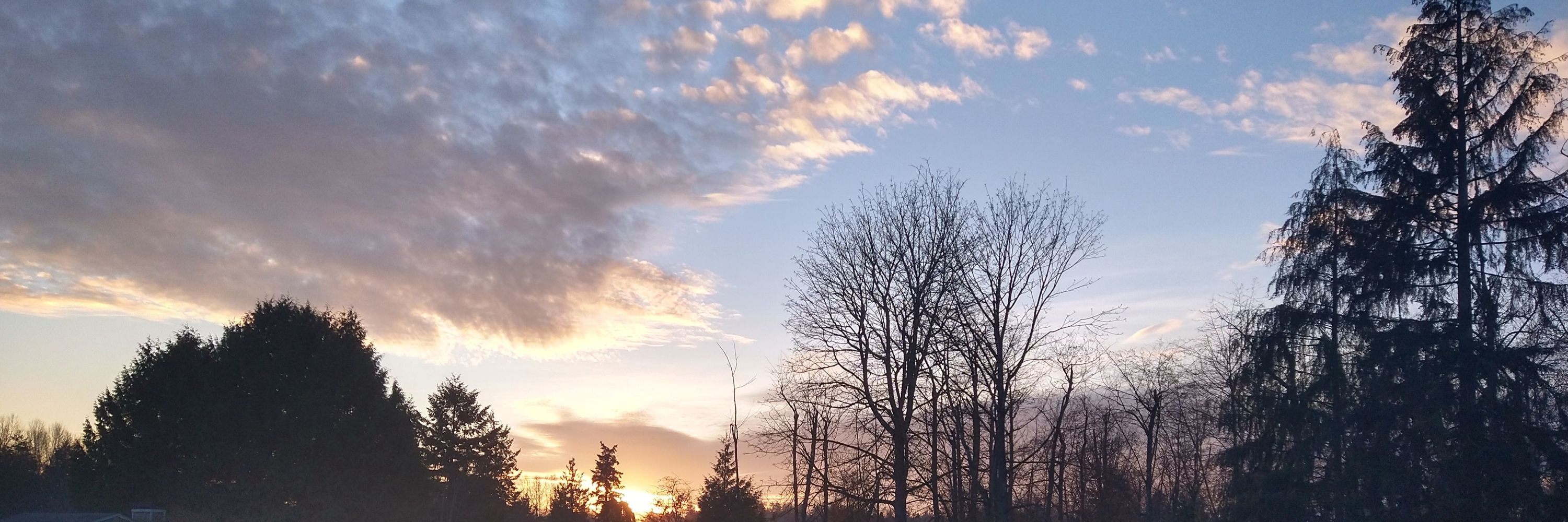 SerenityValley84
