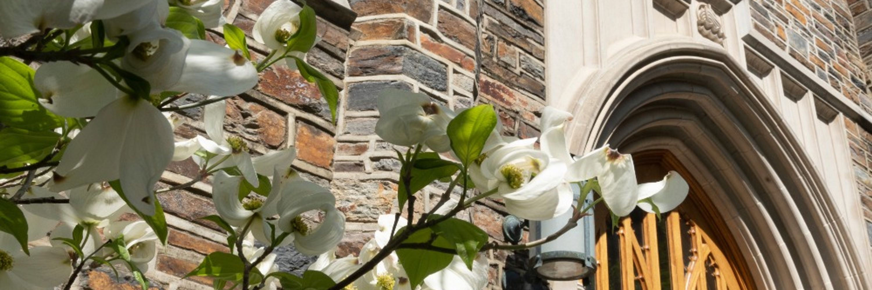 Duke Divinity School