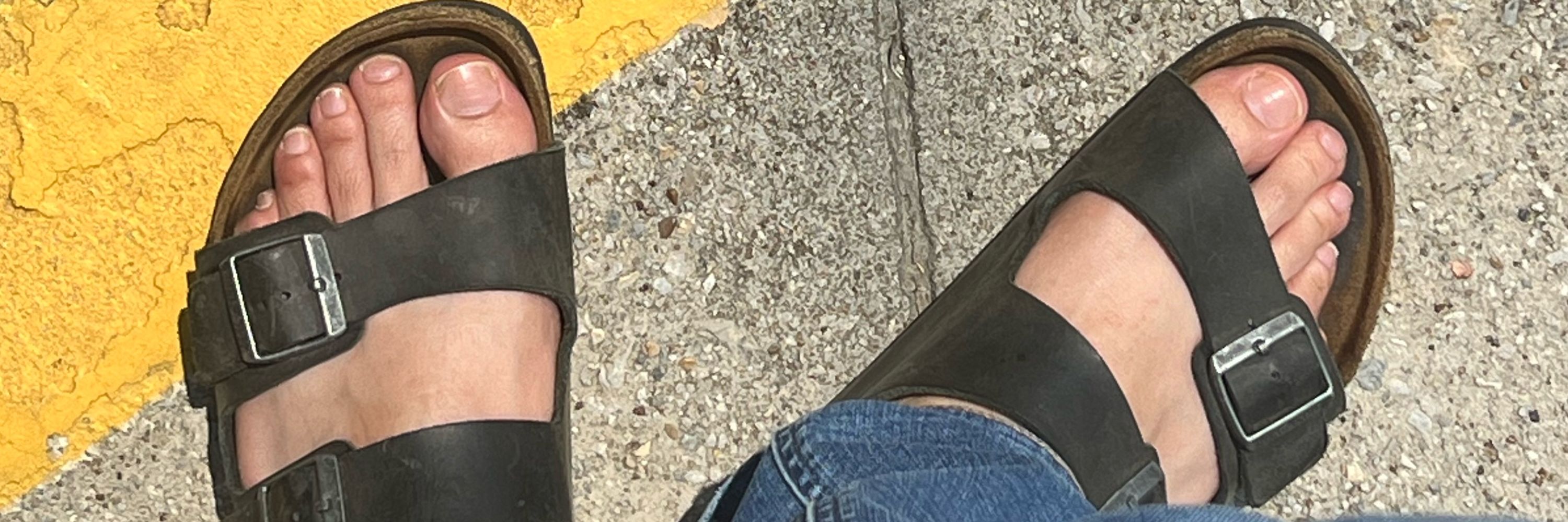 TickleFickleTX