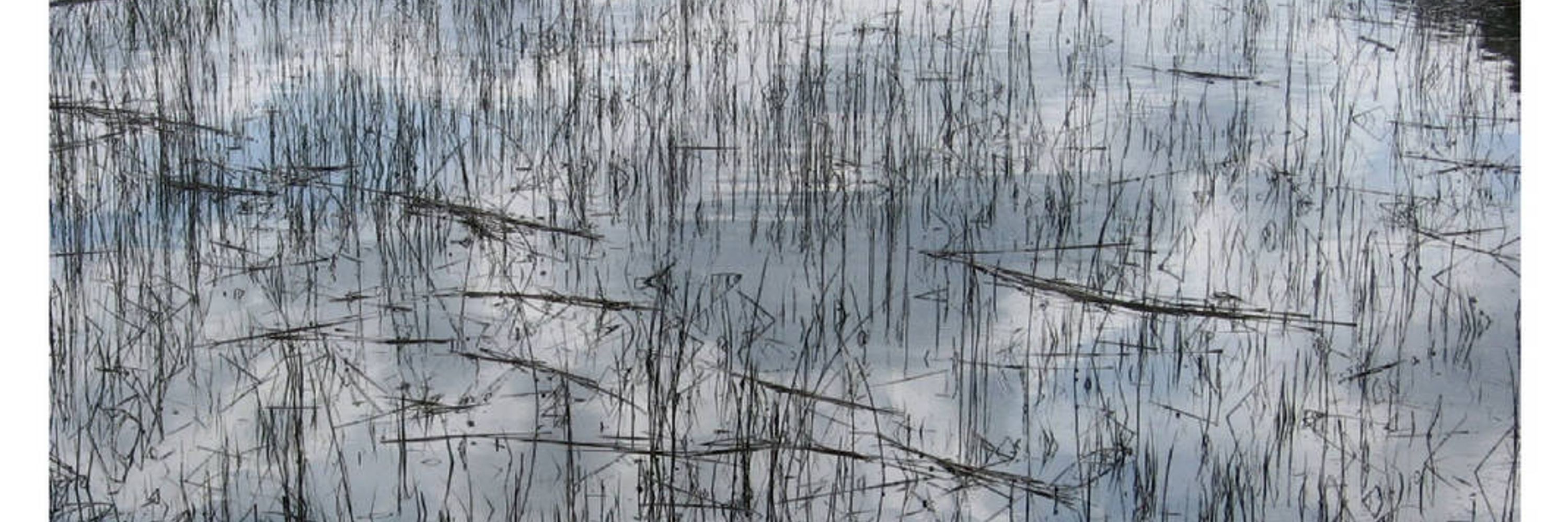 Greg Cassel