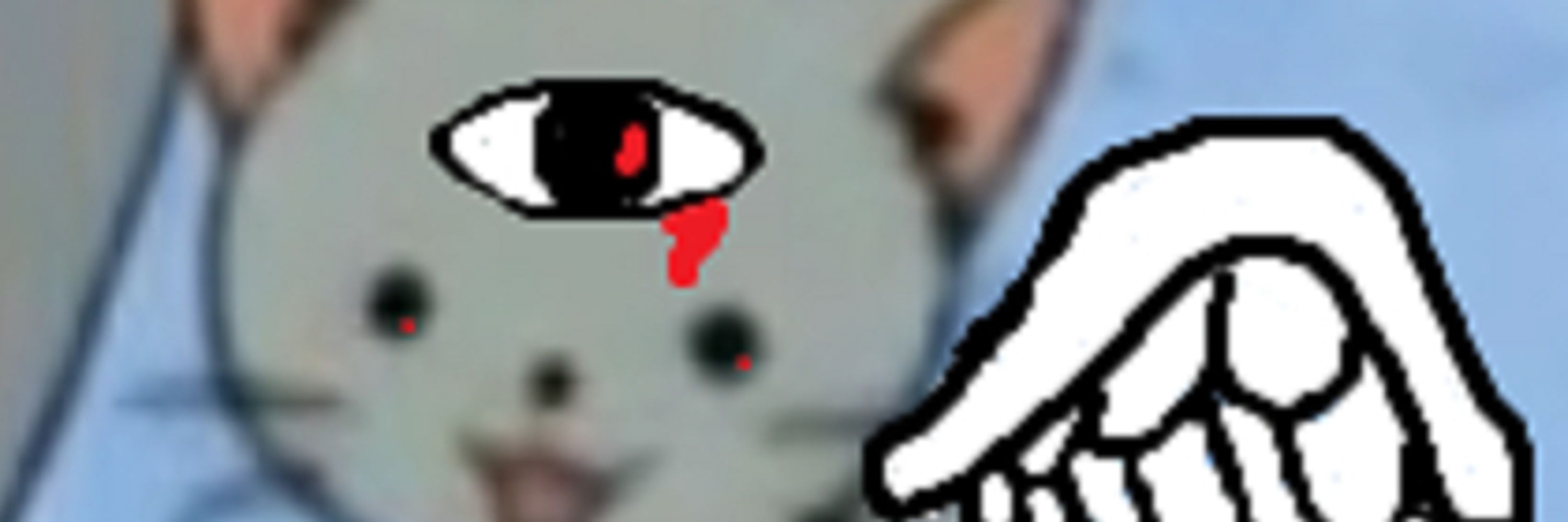 BunnyBarks