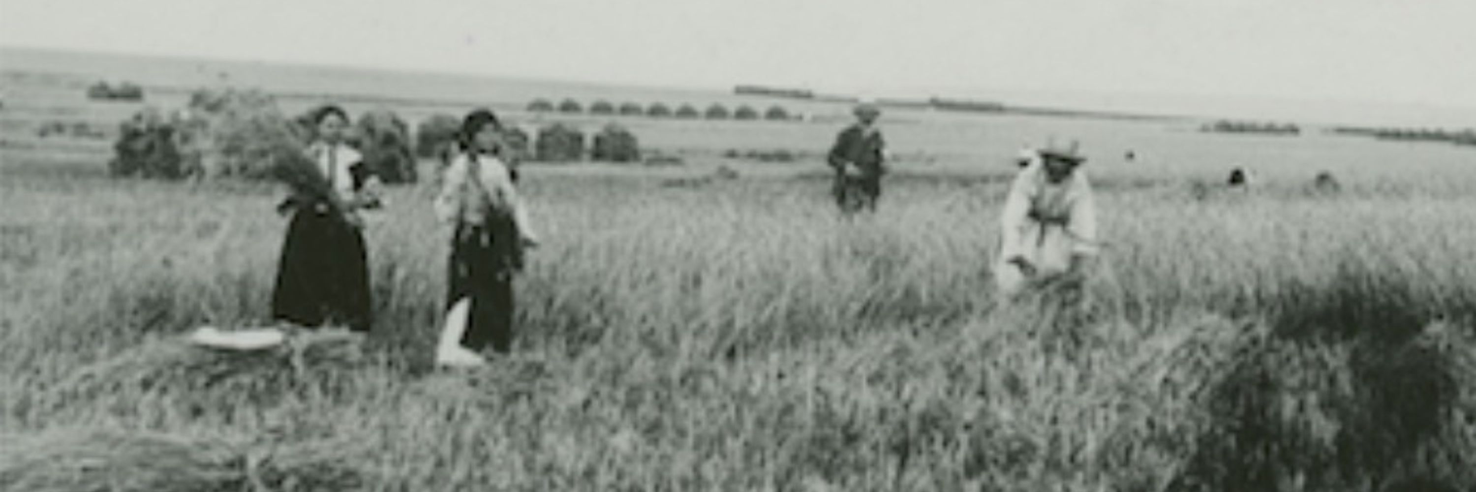ScytheFella