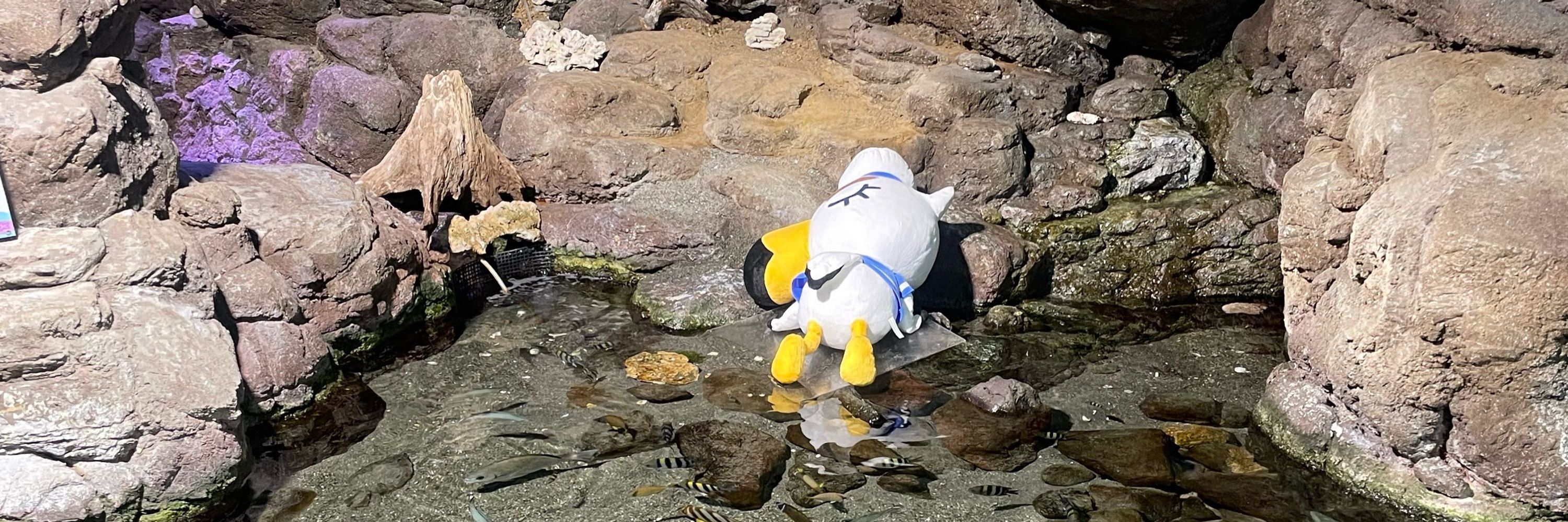 うめ