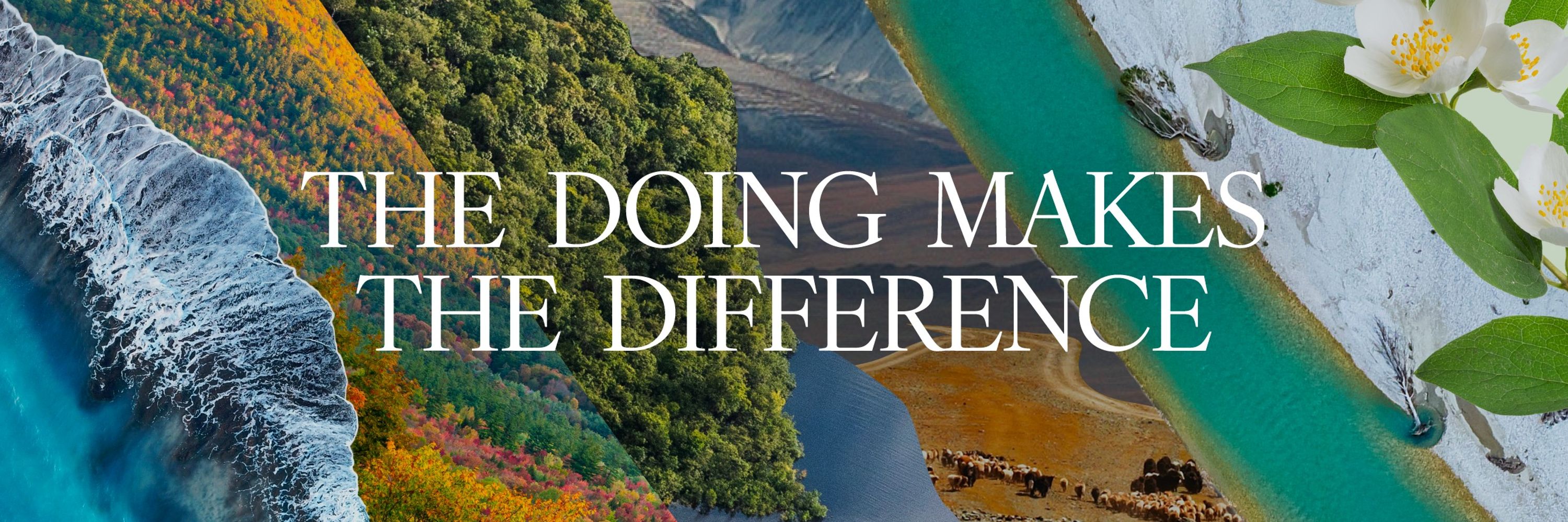 The Goldman Environmental Prize