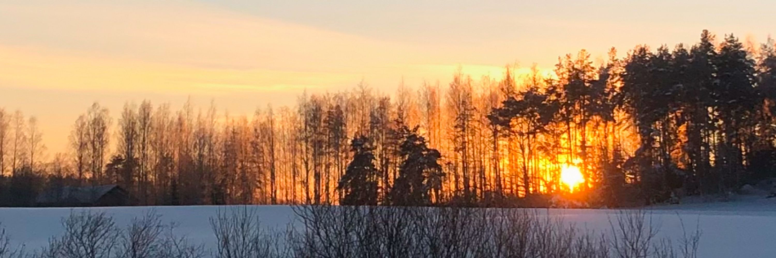 Piia Tapanainen