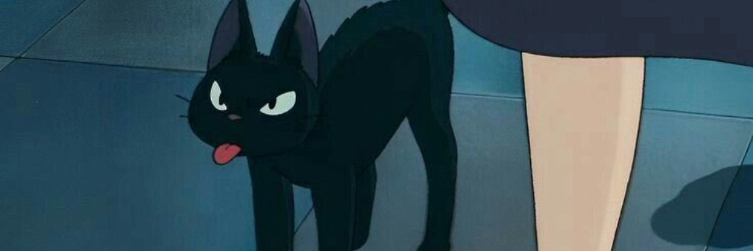 Bear 🐈‍⬛