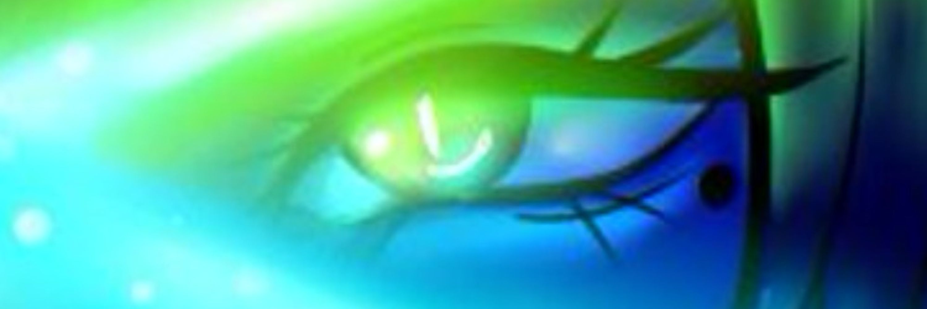 SinSeijou