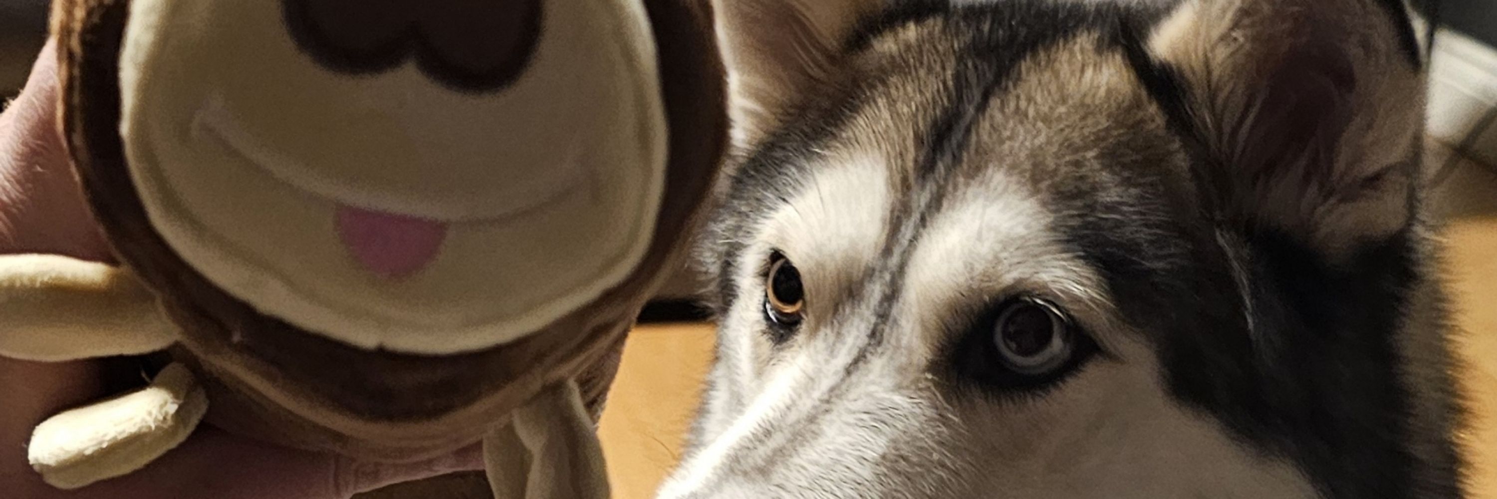 Jim