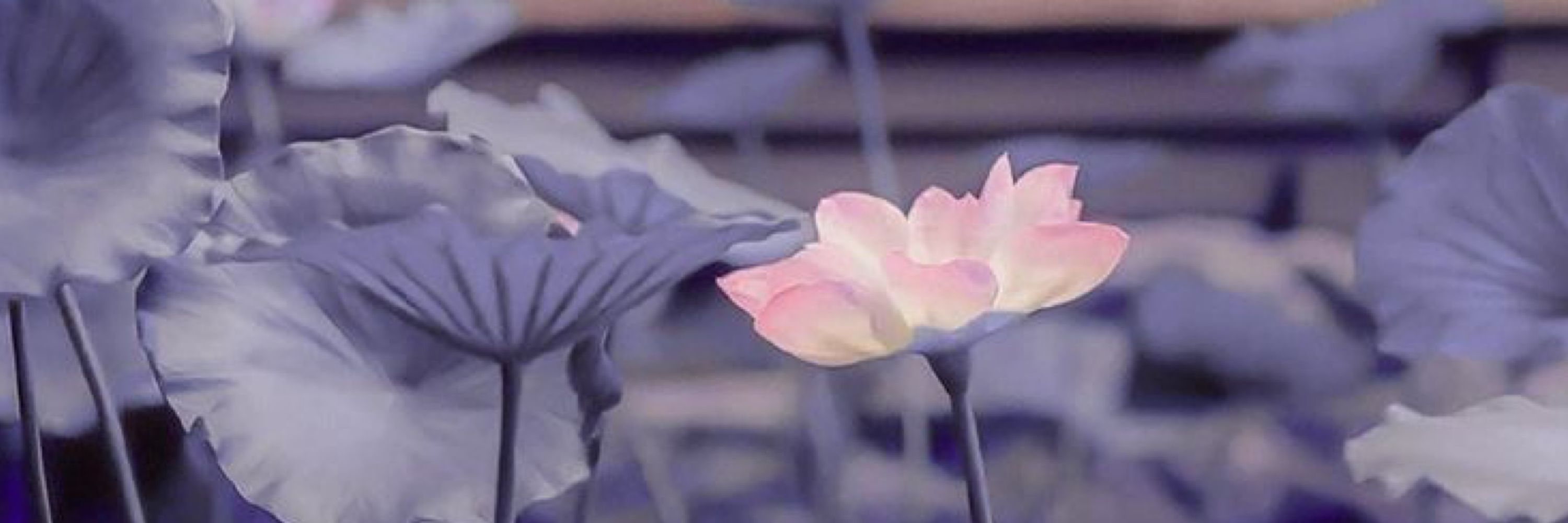 — Jiang Fengmian