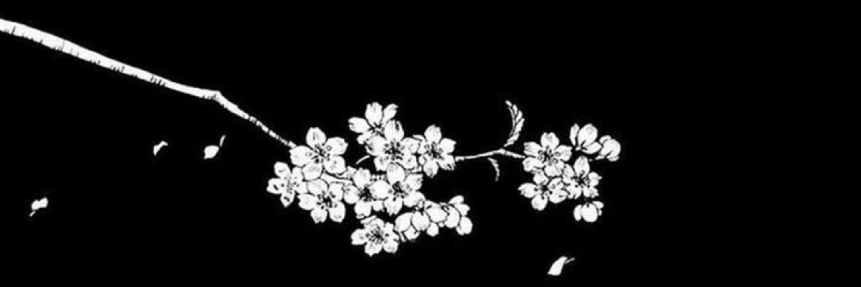 🌼𝔐.ℭ⁷🌼